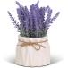 �t�F�C�N�O���[�� ���x���_�[ �l�H�ϗt�A�� �C���e���A ������� �͂�Ȃ� ��� ���A�� ���� �����s�v MDM (�t����,  20 cm)