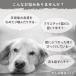 �G���U�x�X�J���[ �� �L �\�t�g �p�㕞 �u�T�C�Y���������v�y�b�g�p�\�t�g�G���U�x�X�J���[ �֘A�摜3