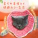 �G���U�x�X�J���[ �� �L �\�t�g �p�㕞 �u�T�C�Y���������v�y�b�g�p�\�t�g�G���U�x�X�J���[ �֘A�摜4