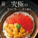 9 месяц ограниченная продажа максимальный сырой .. сырой икра фарфоровая пиала ..... наклон ...+.. Hokkaido . документ остров производство сырой Kitamura saki морской еж 90g + осень лосось. не рефрижератор икра соевый соус ..150g комплект 
