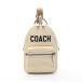  Coach COACH коричневый -ta- Coach графика сумка-пояс сумка "body" сумка кожа слоновая кость серия CP127 [ б/у ]