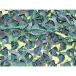 CAMO ڥꥹ 쥮顼Xߥ꥿꡼ ǥåɥå 1.8mX3m CAMO SRM1.8X3DK    ɸͥå Բ