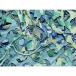 CAMO ڥꥹ 쥮顼Xߥ꥿꡼ åɥ 1.8mX3m CAMO SRM1.8X3DW    ɸͥå Բ