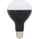 IRIS ������p�����d��3000lm LDR26DHE39BK30