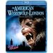  бонус -тактный Aplus 10% объект снят с производства Blu-ray. мужчина american Blue-ray &amp;DVD комплект 4988102911232 B00438QEIM