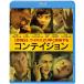 �D�ǔz�� �R���e�C�W���� Blu-ray �u���[���C