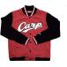 (USED товар / б/у товар ) Hiroshima Toyo Carp CARP куртка с логотипом куртка ограниченное количество 2017 год модели PR