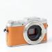 Panasonic LUMIX DMC-GF7 �{�f�B �I�����W #15030 �֘A�摜5