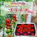  предварительный заказ 12 месяц c последовательный отправка [ специальный культивирование сельское хозяйство производство предмет ]... фрукты помидор сомелье мини помидоры платина 3kg Petit Toma to Kumamoto бесплатная доставка ..