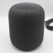 Apple HomePod MQHW2J/A Space Grace mart динамик Home Pod корпус 