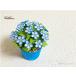  бумага ki кольцо материал комплект blue star цветок 3D растение в горшке цельный 