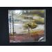 1812* новый товар CD With No Love/GLORY HILL