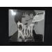2358��̤����CD RIOT(��������)(DVD��)/VALSHE  ���辰ͭ