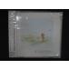 2632* нераспечатанный CD радуга. .. нет /MASAYA * разделение иметь 