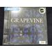 r05 в аренду версия CD..~10th Anniversary Special Package~/GRAPEVINE 1841