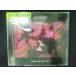 896 в аренду версия CDS DDU-DU DDU-DU/BLACKPINK