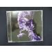 953# б/у CDS LIQUID / panorama . конструкция ze non 
