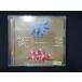 955# в аренду версия CD рождение / chat monchi-17387