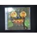 1061# б/у CD DAWN PURPLE/ Matsutoya Yumi 
