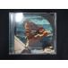 1081# в аренду версия CD Luminosity Abundance/The PBJ