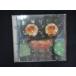 1136 б/у CD DAWN PURPLE/ Matsutoya Yumi 
