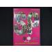 0255# б/у DVD AKB48ne. телевизор специальный ~ горячая вода ... горячие источники женщина .. индустрия and земля .. Корея море ....~