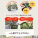 �e���g �q�� �L�b�Y ��l���p �R���p�N�g �ȈՃe���g ���[�ܓ��� ���� �V�� ���� �V�� �A�E�g�h�A �\���L�����v �p�[�\�i���e���g �ً}�� ���r���O �֘A�摜4