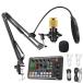 BONKYO karaoke set home use DJ mixer set F998 Live sound card man voice woman voice voice changer / Mike Stan 