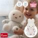  little Dodge miffy×Little Dutch Miffy [ мягкая игрушка 20cm 30cm ] 0 лет ~ First игрушка игрушка little Dodge 