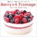  гладкий ....4 вид. Berry . Дания производство крем сыр . использование Berry ×4froma-ju(3~4 человек минут ) день рождения кекс . праздник . подарок 