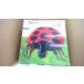 The Grouchy Ladybug Eric Carle/AHB