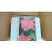  Hanaki 2 цвет GUID/EDE