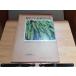 . цвет Япония . зуб растения иллюстрированная книга Hoikusha выгорел * пятна большое количество иметь 1969 год 9 месяц 1 день выпуск 