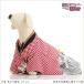  dog. kimono rental medium sized dog man dl-005 pet costume both ways free shipping high class cloth lovely wedding The Seven-Five-Three Festival photographing .[ red ground crepe-de-chine . black gold modern hakama ]