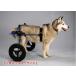 1 месяцев в аренду K9 Cart собака для инвалидная коляска после ножек поддержка L(18kg-30kg не достиг ) задний пара собака инвалидная коляска инвалидная коляска Rav Rado rureto Lee балка золотой большой собака 