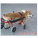 1 месяцев в аренду 4 колесо. собака. инвалидная коляска K9 Cart собака для инвалидная коляска поддержка M(11kg-18kg не достиг ) задний пара передний пара собака инвалидная коляска инвалидная коляска Corgi Mix . собака средний собака 
