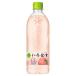 2 �P�[�X ���[ ���E��E�́E�� �e��  ( 285�`540ml PET �~ 24�{�� ) ���ǂ� �Q�� �i �S�W�{ �j ����͂� �n�X�J�b�v ���� �݂��� ���� �����{ �k�C������ �֘A�摜4