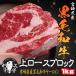 宮崎県産　黒毛和牛 サーロイン ブロック １キロ わけあり ブロック肉 牛肉 和牛 和経産 焼肉 ギフト 牛ロース ローストビーフ