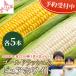  Hokkaido кукуруза еда . сравнение комплект 10 шт. входит . Gold Rush чисто-белый .. высота сахар раз сырой еда OK белый кукуруза утро .. свежий фрукты кукуруза лето овощи 