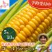  Hokkaido кукуруза Gold Rush 5 шт. входит .10 шт. входит ... высота сахар раз утро .. свежий фрукты кукуруза лето овощи . прямая поставка от производителя ваш заказ подарок 