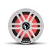 Rockford Fosgate M2D2-10I Color Optix 10 DVC 2 ե˥åȥХåե ޥ顼 LED饤դޥ󥵥֥ե - ۥ磻/ƥ쥹