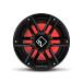 Rockford Fosgate M2D2-10IB Color Optix 10 DVC 2 ե˥åȥХåե ޥ顼LED饤դޥ󥵥֥ե ֥å/ƥ쥹