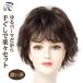  парик Short природа простой стайлинг полный парик Mrs. медицинская помощь для парик тоже женский парик темно-коричневый .. чай 89802-04c1