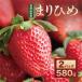  тест приятный . клубника ....2 упаковка (580g) 4L клубника . фрукты подарок коробка покупка фрукты 