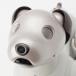  Sony Aibo aibo собака домашнее животное робот бытовая техника ERS-1000 белый [ б/у ]