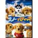  snow * Buddies маленький 5 шт. большой приключение прокат б/у DVD