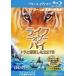  жизнь ob пирог тигр .. сток .227 день Blue-ray диск прокат б/у Blue-ray красный temi-.