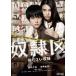  ͤ23ͤ 󥿥  DVD  