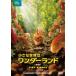  маленький мир. wonder Land театр версия прокат б/у DVD
