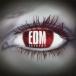EDM Anne semII прокат б/у CD